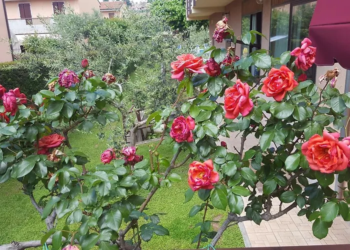 Andreis 카바욘베로네세