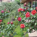 Andreis 카바욘베로네세